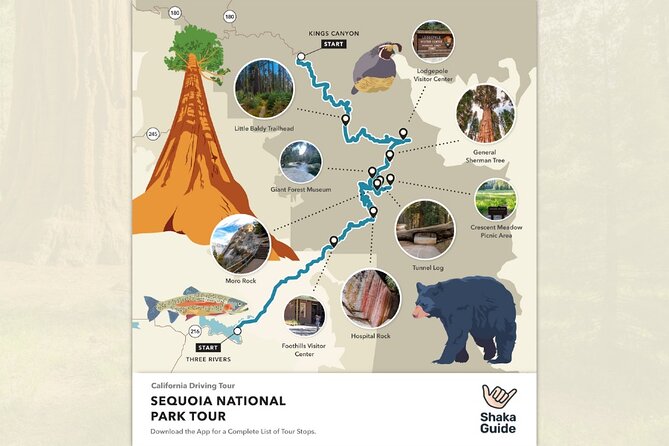 Shaka Guide: Sequoia National Park Audio Tour Guide - User Feedback and Support