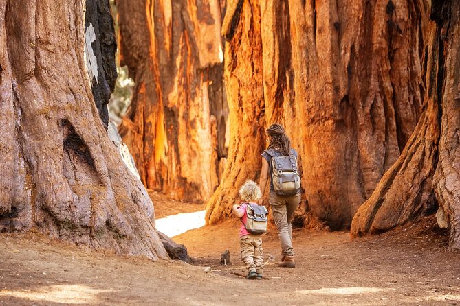 Shaka Guide: Sequoia National Park Audio Tour Guide - Cost Efficiency and Payment Options