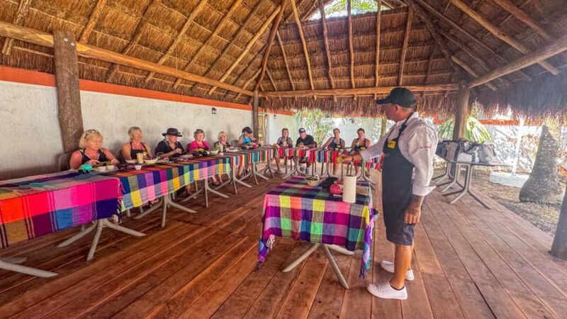 Shake It Up- Dance & Salsa Tequila Experience With Transfer - Key Points