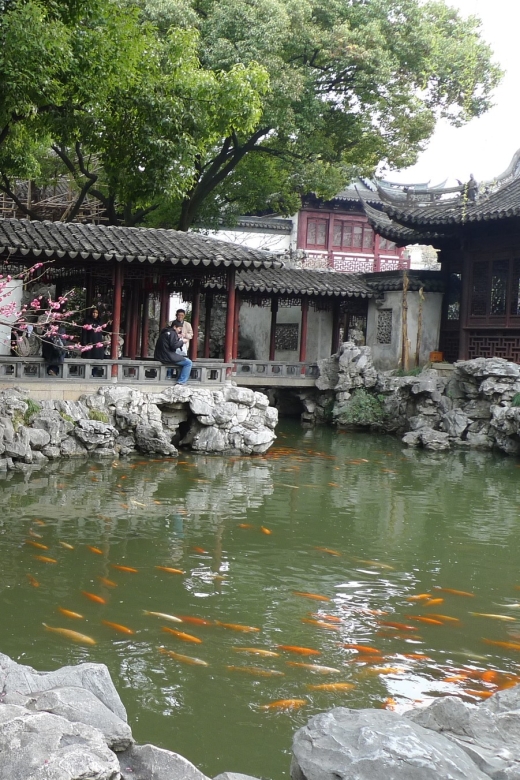 Shanghai: 3-Hour Old Shanghai City Tour - Customer Feedback