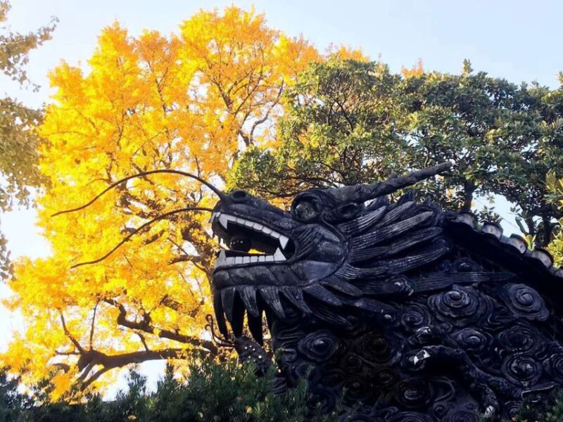 Shanghai: 8-Hour Private City Tour - Scenic Viewpoints