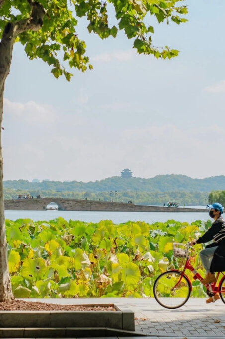 Shanghai: Hangzhou City Advanture & West Lake Bicycle Tour - Getting to the Pickup Location
