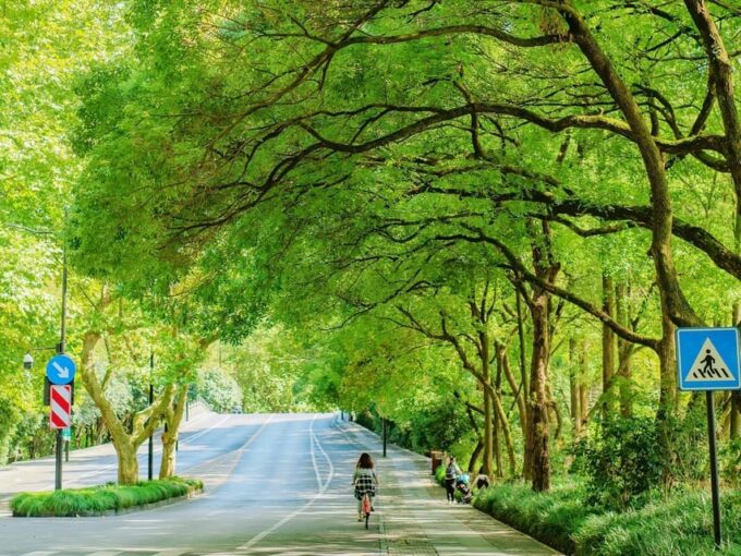 Shanghai: Hangzhou City Advanture & West Lake Bicycle Tour - Frequently Asked Questions