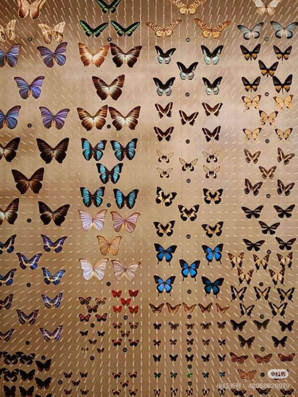 Shanghai: Natural History Museum with Tickets - The Museum’s Location and Layout