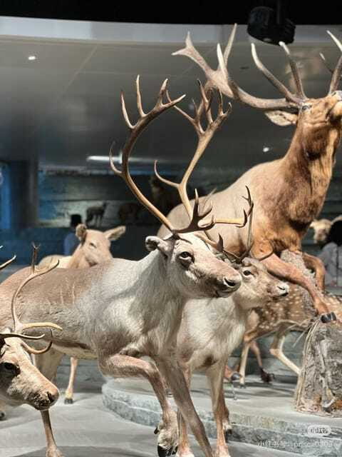 Shanghai: Natural History Museum with Tickets - Frequently Asked Questions