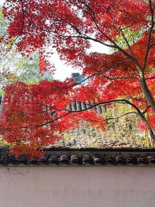 Shanghai One Day Tour to Suzhou: Lingering Garden Tiger Hill - Key Points
