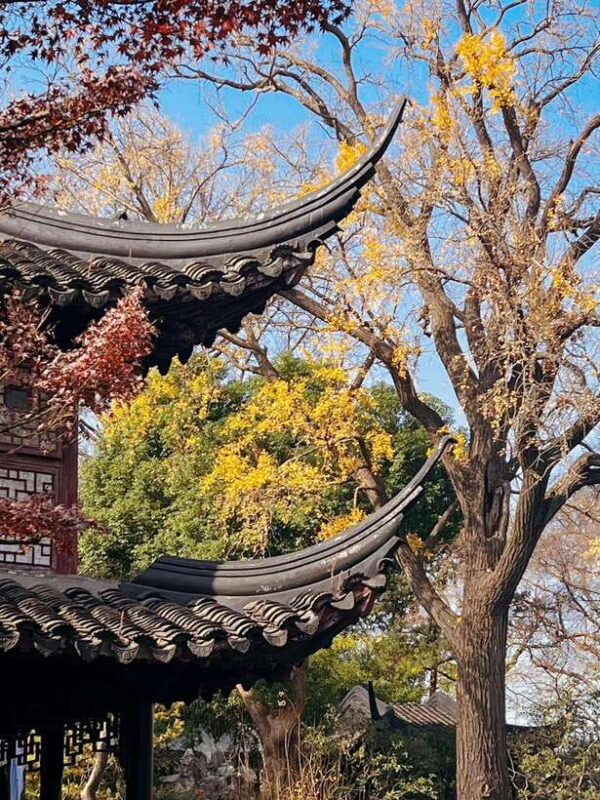 Shanghai One Day Tour to Suzhou: Lingering Garden Tiger Hill - A Close Look at the Itinerary