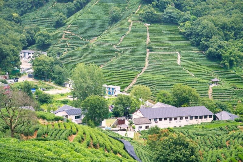 Shanghai: Private Guided Tour to Hangzhou by Bullet Train - Transportation and Logistics