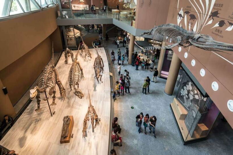Shanghai: Private Tour of the Shanghai Museum - Why Choose This Tour?