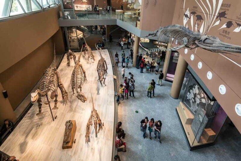 Shanghai: Private Tour of the Shanghai Museum - The Sum Up