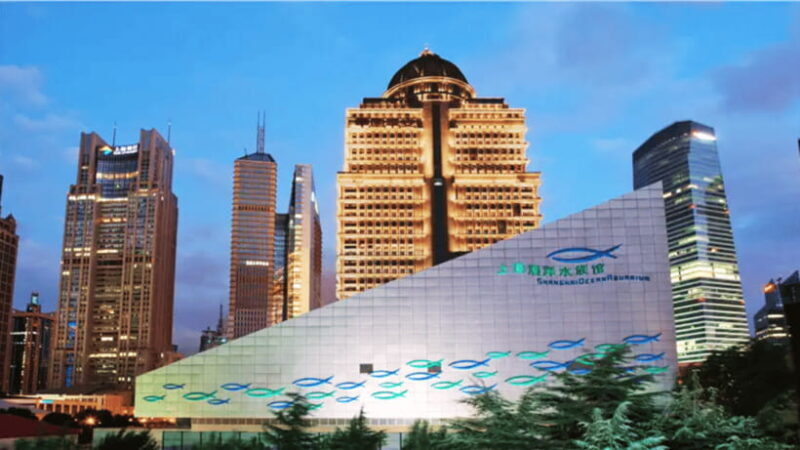 Shanghai: The Marine Wonders at Shanghai Ocean Aquarium - Exploring the Aquarium: A Deep Dive into the Experience