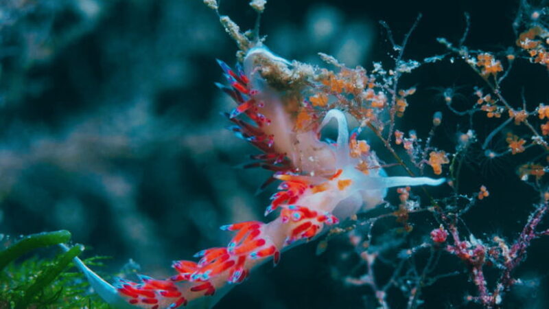 Shanghai: The Marine Wonders at Shanghai Ocean Aquarium - Final Thoughts: Who Will Love It?