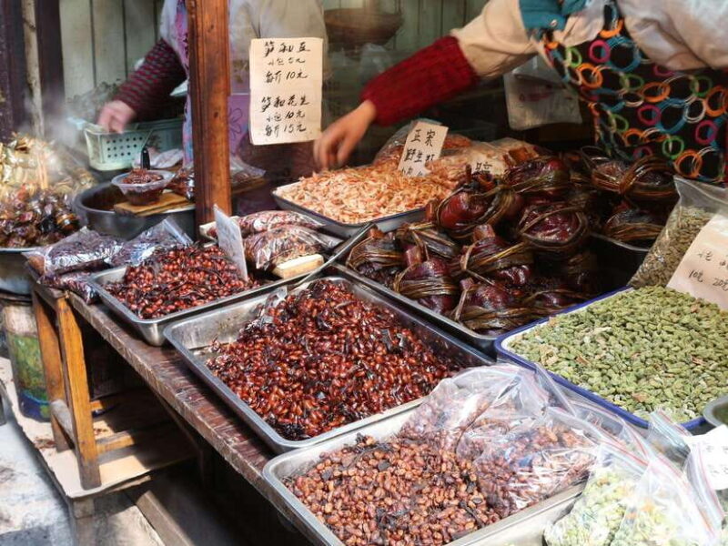 Shanghai: Zhujiajiao Water Town and City Private Day Tour - Key Points  