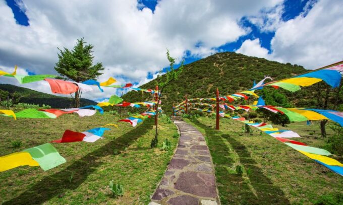 Shangri-La Area Private Day Tour - Walk Yila Grassland