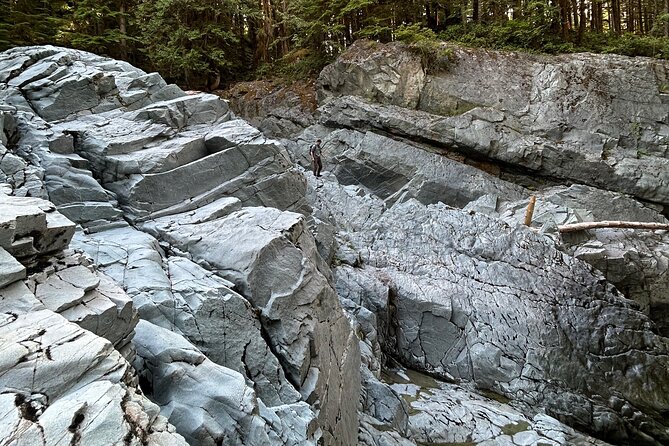 Shannon Fall, Quercus Point and Squamish City Private Tour - Additional Details