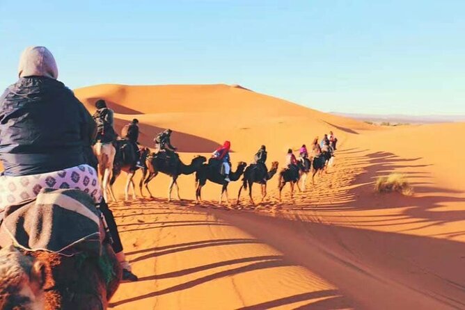 Shared 3 Days Fes Desert Tours to Marrakech - Group Size and Transportation
