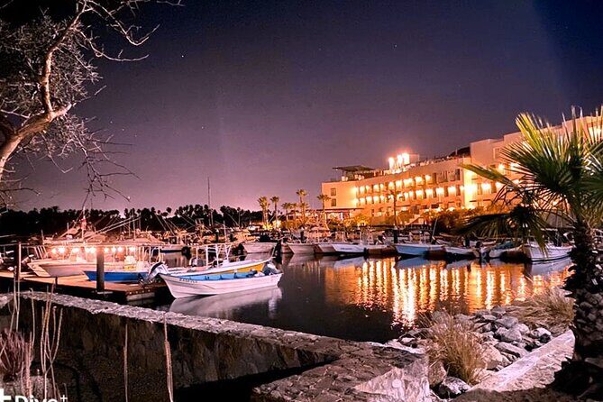 Shared Cabo Sunset Cruise with Open Bar and Scenic Views - Who Will Enjoy This Tour Most?