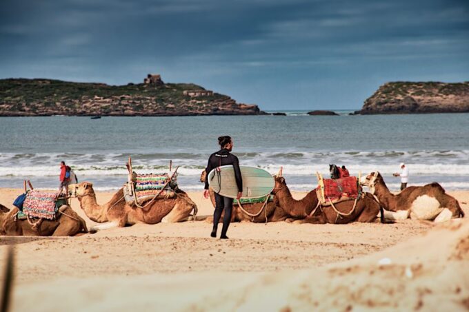 Shared Day Trip To Essaouira From Marrakech Full-Day Trips - Free Time for Shopping and Sightseeing