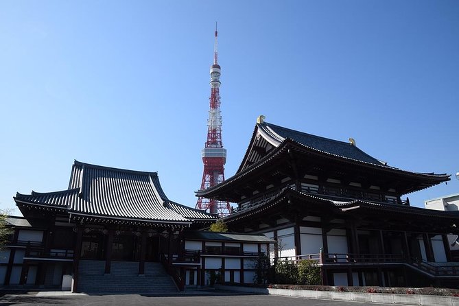Shared Departure Transfer : Central Tokyo Hotel to Haneda Airport - Accessibility Considerations