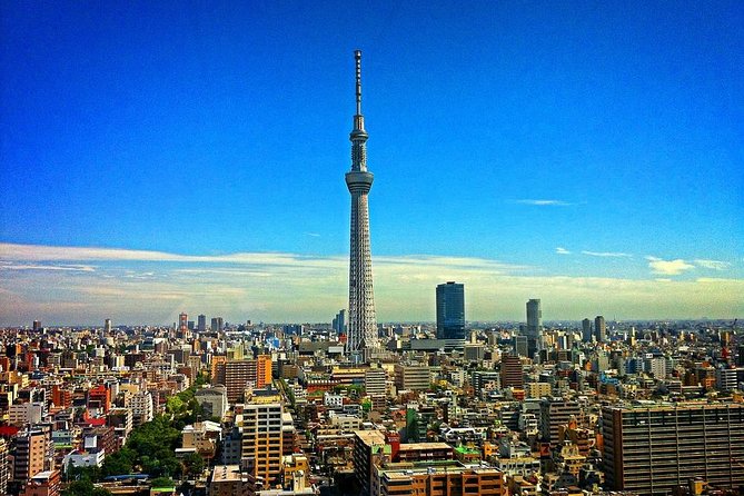 Shared Departure Transfer : Central Tokyo Hotel to Haneda Airport - Tips for a Smooth Transfer