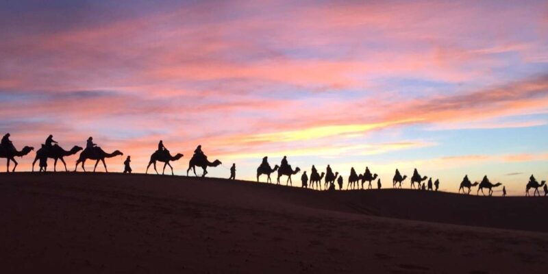 Shared Desert Tour of Morocco From Marrakech - 3 Days - Included Meals and Activities
