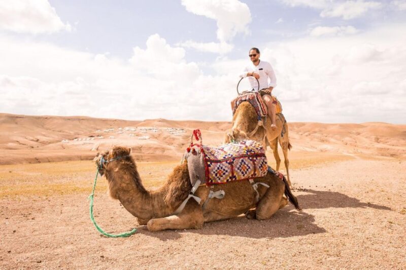 Shared Fes Desert Tours 2 Days Back to Fes - Activities and Experiences