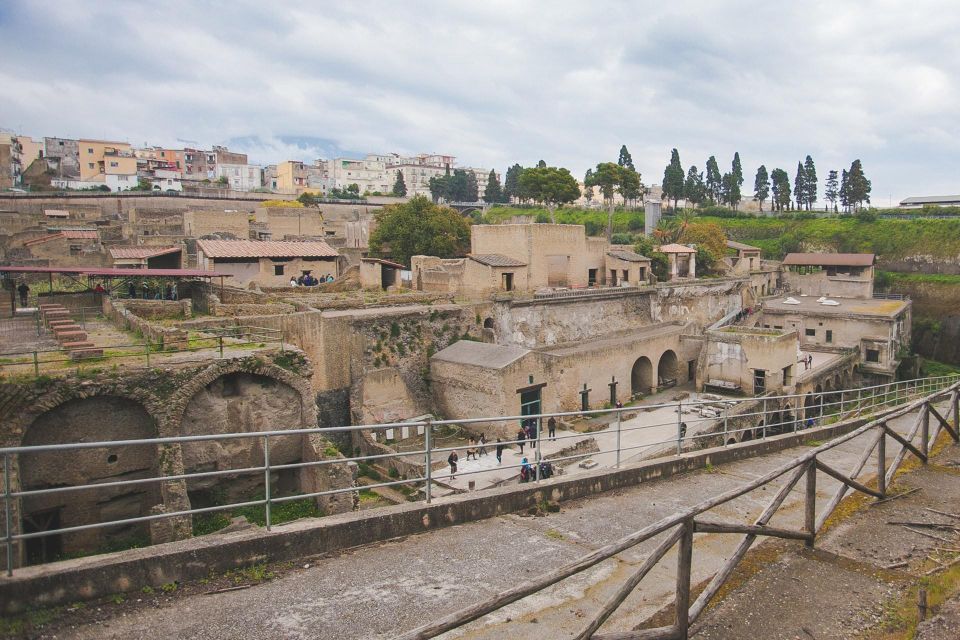 Shared Group: Pompeii Tour and Wine Tasting - Booking Process