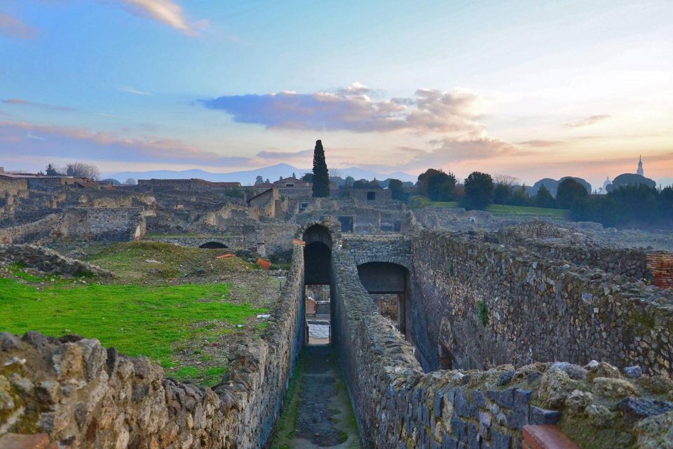 Shared Group: Pompeii Tour and Wine Tasting - Visiting Pompeii