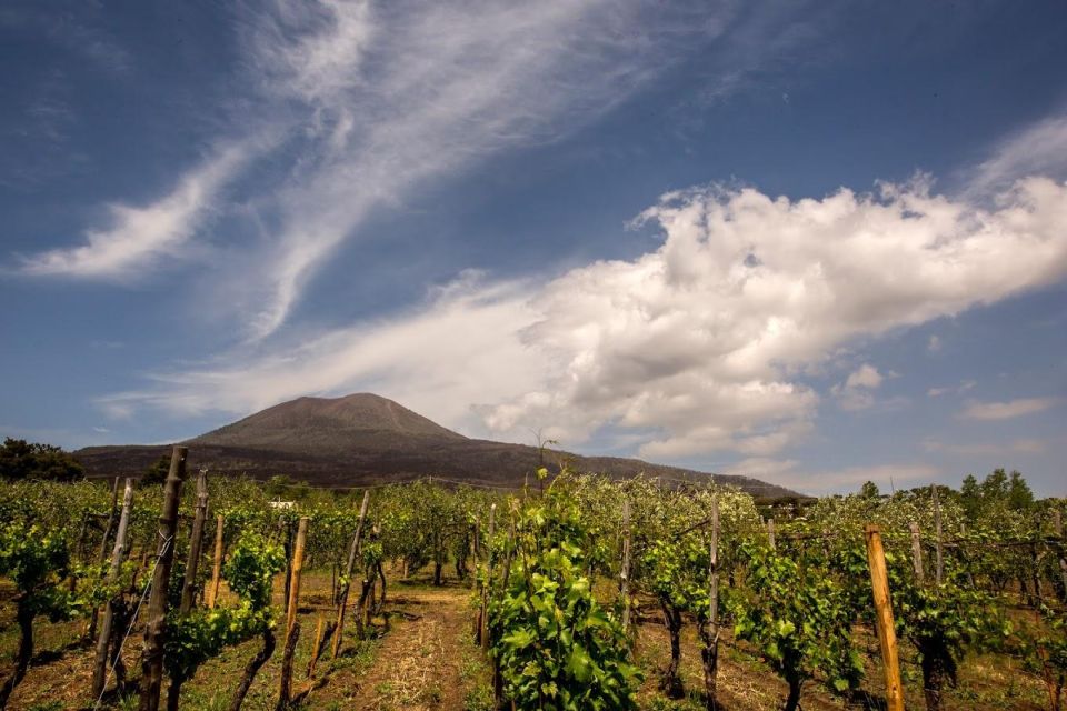 Shared Group: Pompeii Tour and Wine Tasting - Wine Tasting on Vesuvio