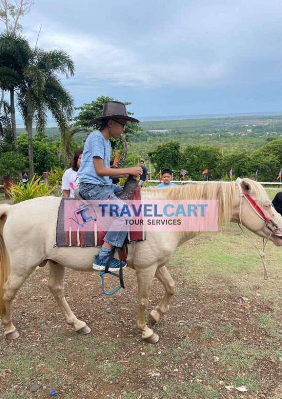 Shared Half City Tour with SPA - Who Should Consider This Tour?