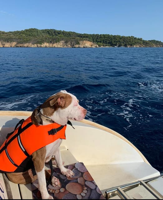 Shared Half Day Cruise in Athenian Riviera - Comparing to Similar Experiences