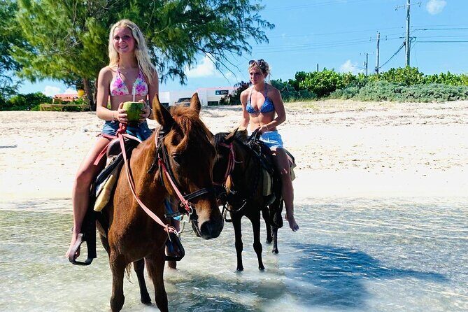 Shared Horseback Riding in Turks and Caicos - Final Thoughts