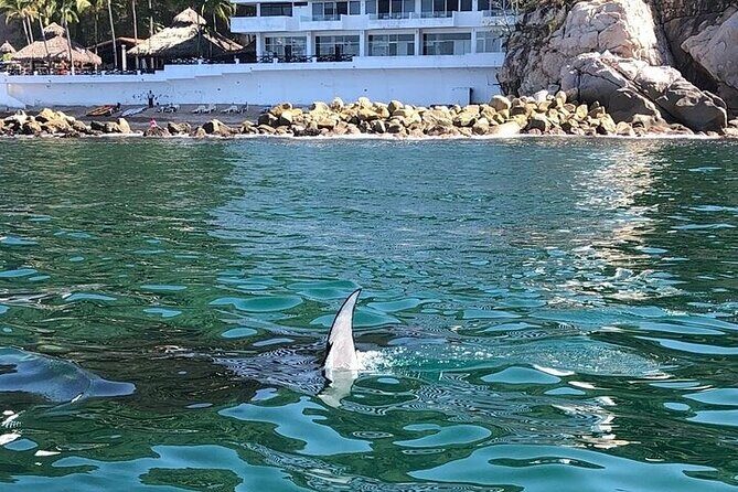 Shared Puerto Vallarta City Tour By The Sea aboard Bruna - The Experience in Detail