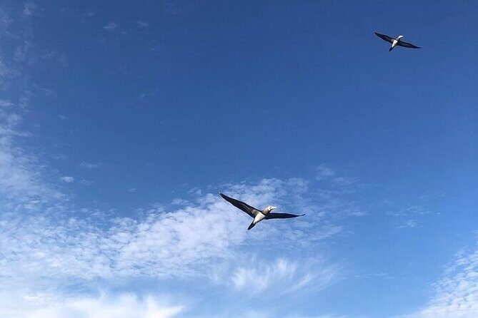 Shared Puerto Vallarta City Tour By The Sea aboard Bruna - Frequently Asked Questions