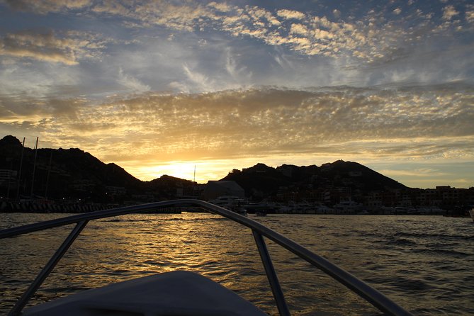 Shared Ride to the Arch of Cabo San Lucas - Marine Life Sightings