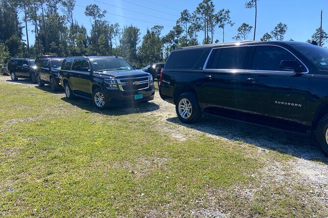 Shared Round Trip Limousine Transfer - The Return Journey: When and How