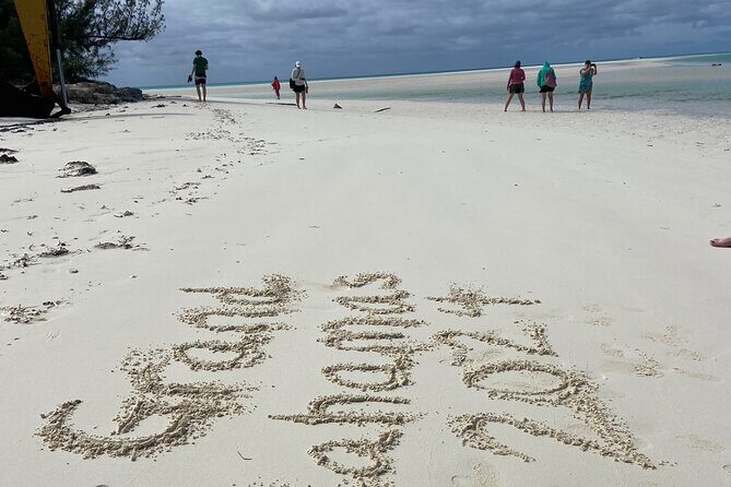 Shared Round Trip Limousine Transfer - The Good and the Not-So-Good