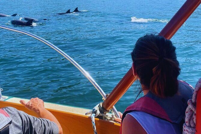 Shared Sailing Adventure Explore Puerto Vallarta by Sea - Key Points