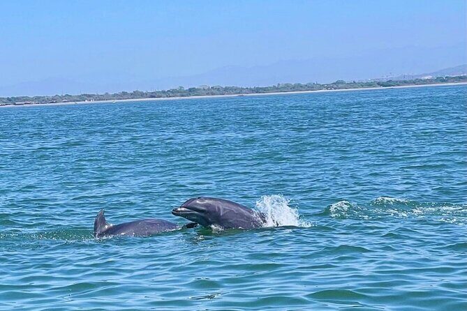 Shared Sailing Adventure Explore Puerto Vallarta by Sea - Who Will Love This Tour?