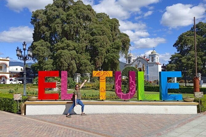 Shared Santa Maria Del Tule Bike Tour - What Travelers Say