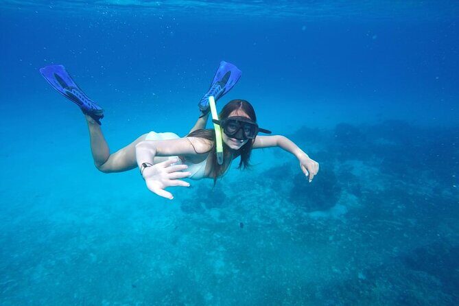 Shared Sky Snorkeling in Cozumel - Who Will Love This Tour?  