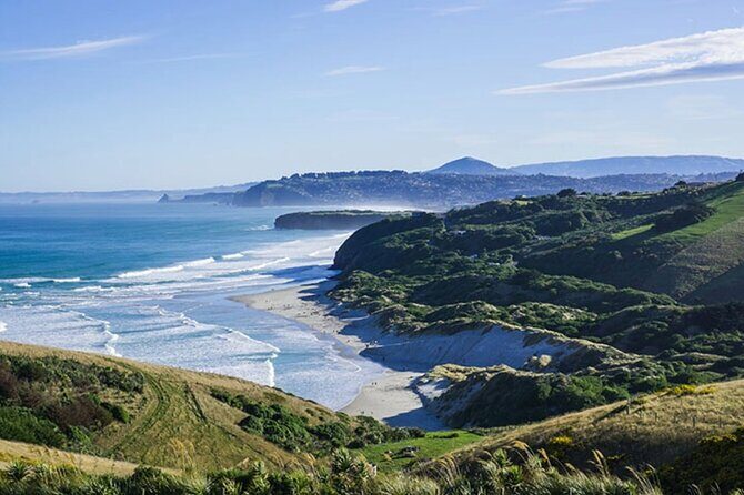 Shared Small Group Dunedin City and Peninsula Scenery Day Tour - FAQ