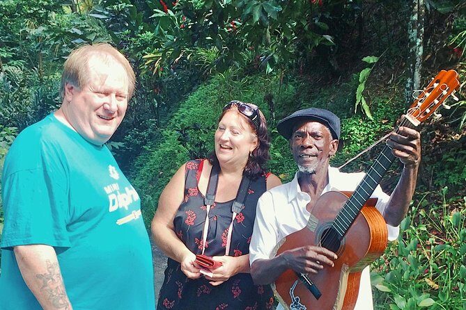 Shared Tour: Annandale Waterfalls, Forts & Grand Anse Beach. - Meeting Points and Practical Details