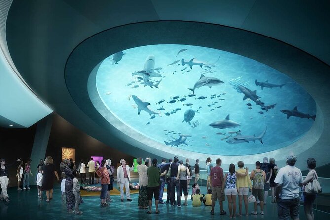 Shared Tour in Miami With Transfer - Nearby Attractions to Explore