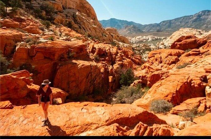 Shared Tour in Red Rock Canyon - An In-Depth Look at the Red Rock Canyon Shared Tour