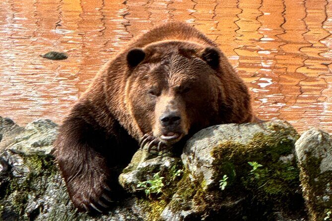 Shared Tour in Sitka with Meal - Key Points