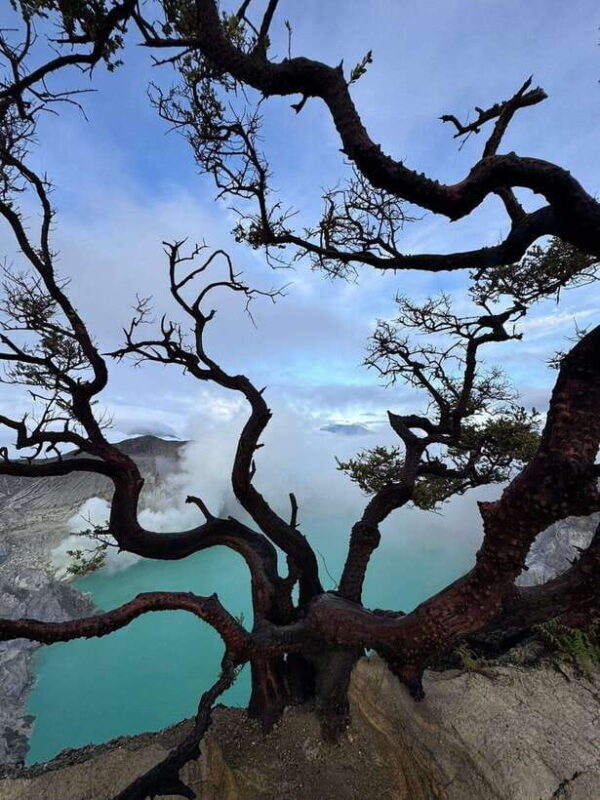 Shared Tour Mount Ijen 1D start from Banyuwangi - An In-Depth Look at the Ijen Shared Tour Experience