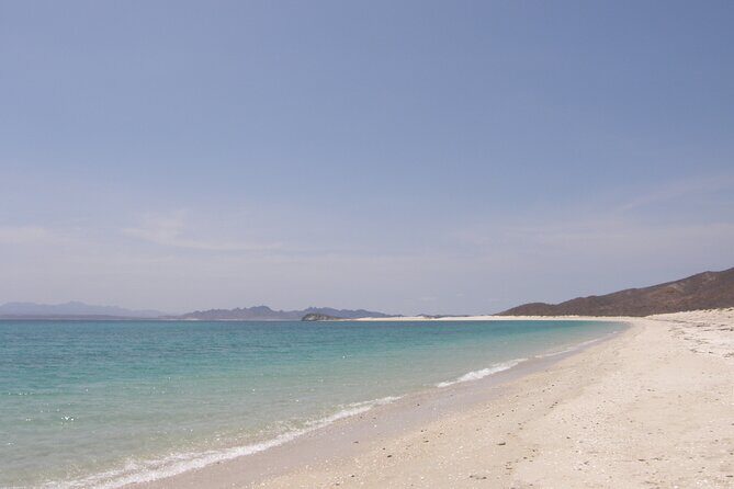 Shared Tour to Isla Espíritu Santo and Snorkeling with Sea Lion - Who Will Enjoy This Tour?