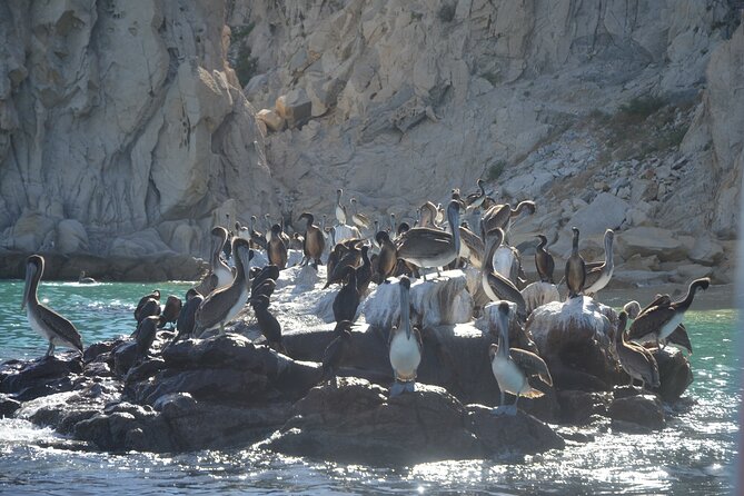 Shared Tour to the Arch of Cabo San Lucas - Safety and Customer Service