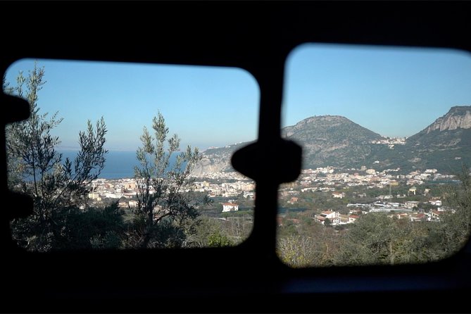 Shared Transfer From Positano to Naples Airport - Driver Professionalism and Communication